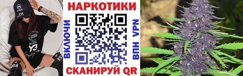 Купить закладку Тайга A PVP  Меф  Конопля 
