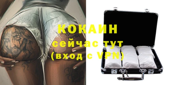 прущие грибы Баксан