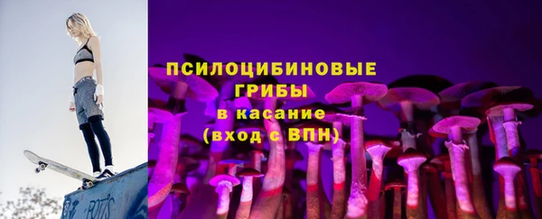прущие грибы Баксан