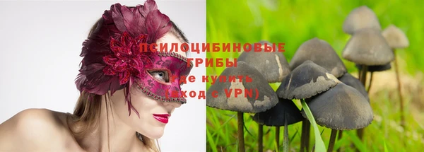 твердый Беломорск