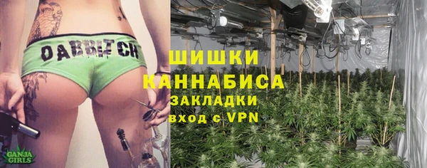 PSILOCYBIN Белокуриха