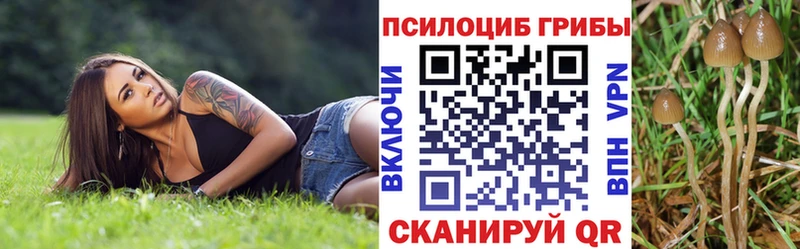 Псилоцибиновые грибы Magic Shrooms  mega как войти  Тайга 